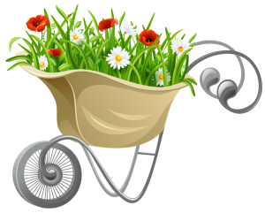 a wheelbarrow with flowers 
